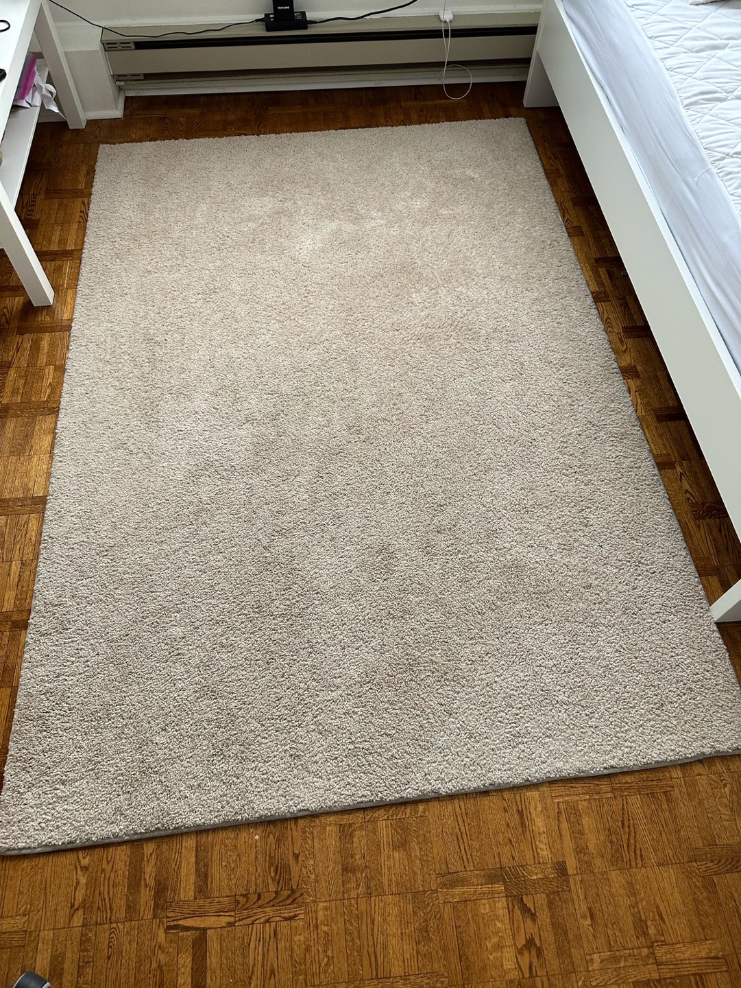 Beige Shag Rug