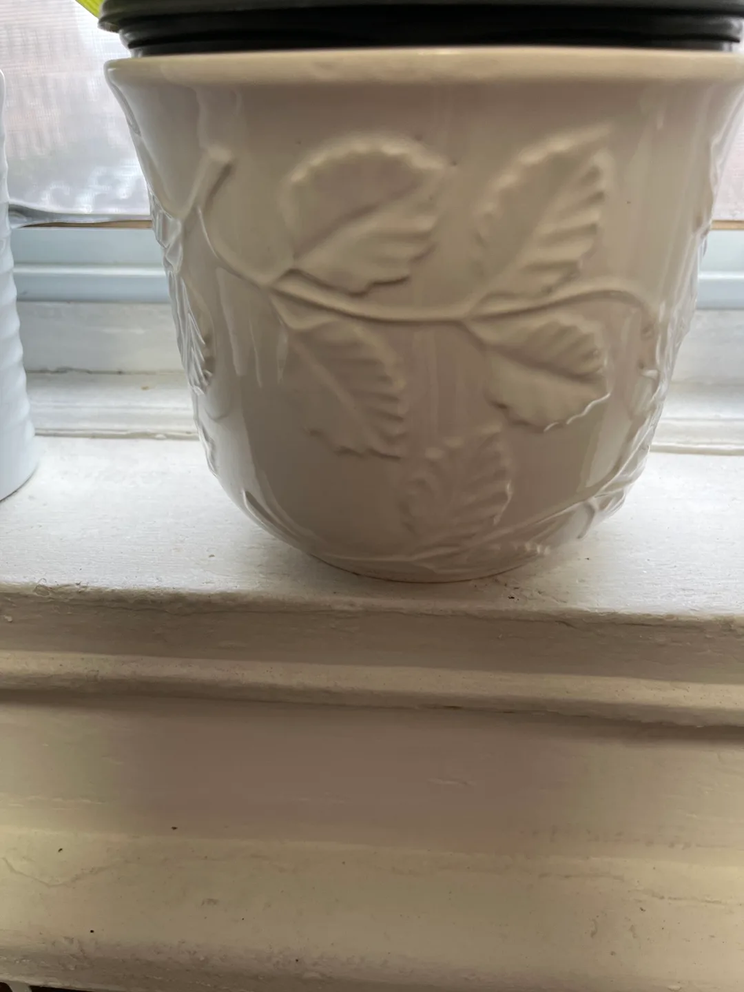 Snake Plant in White Pot image indicator(2)