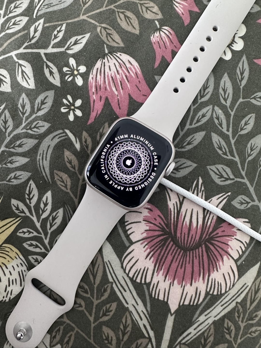 Apple Watch Series 9 (open to negotiation)