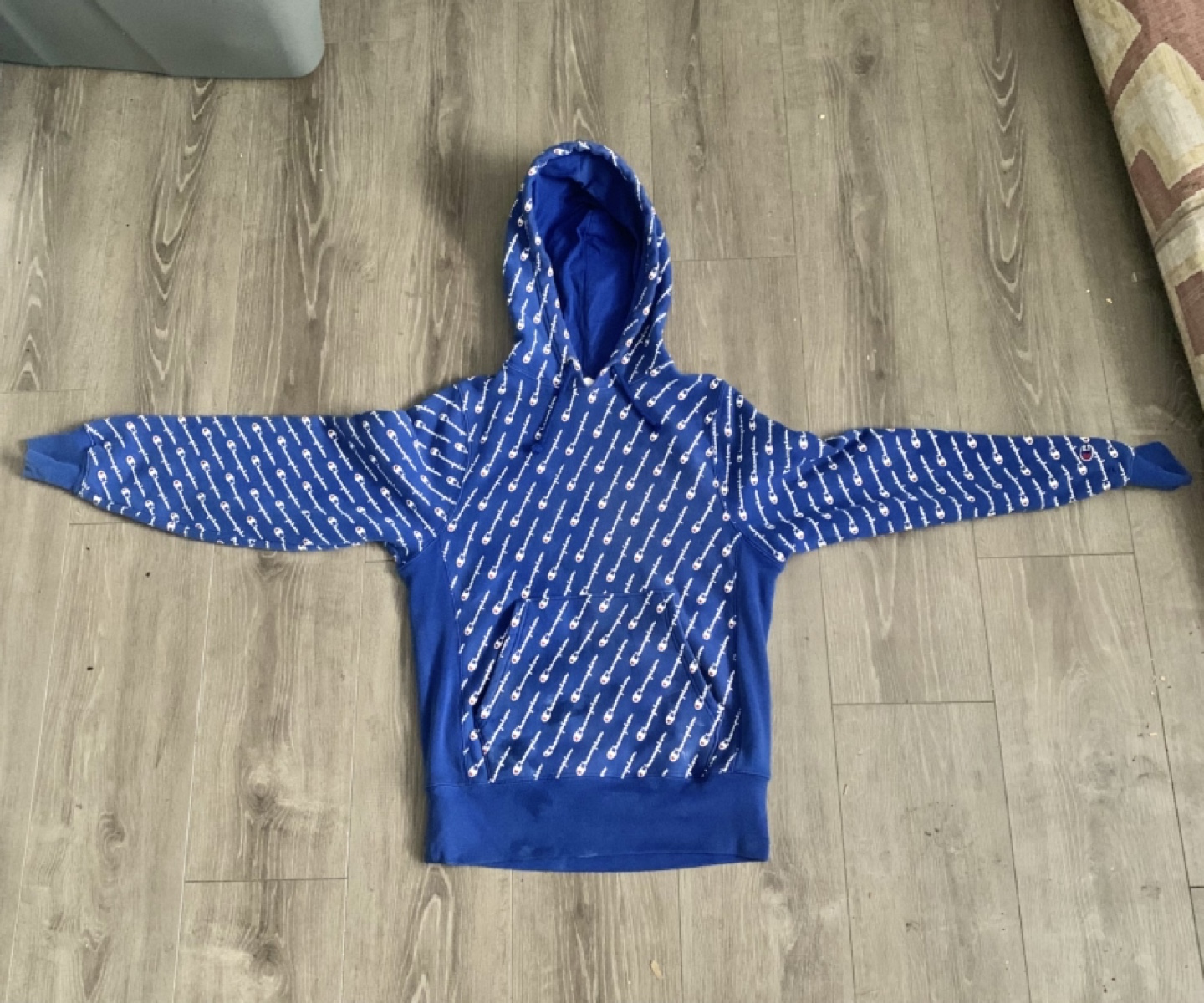 Champion Hoodie