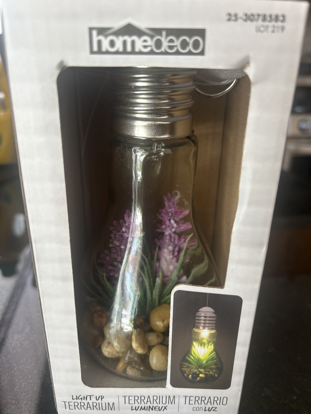 HomeDeco Light-Up Terrarium