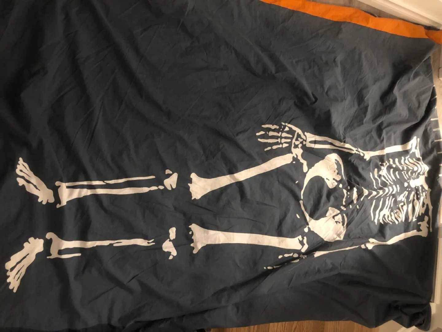 Ikea Twin Duvet & Cover Set image indicator(3)