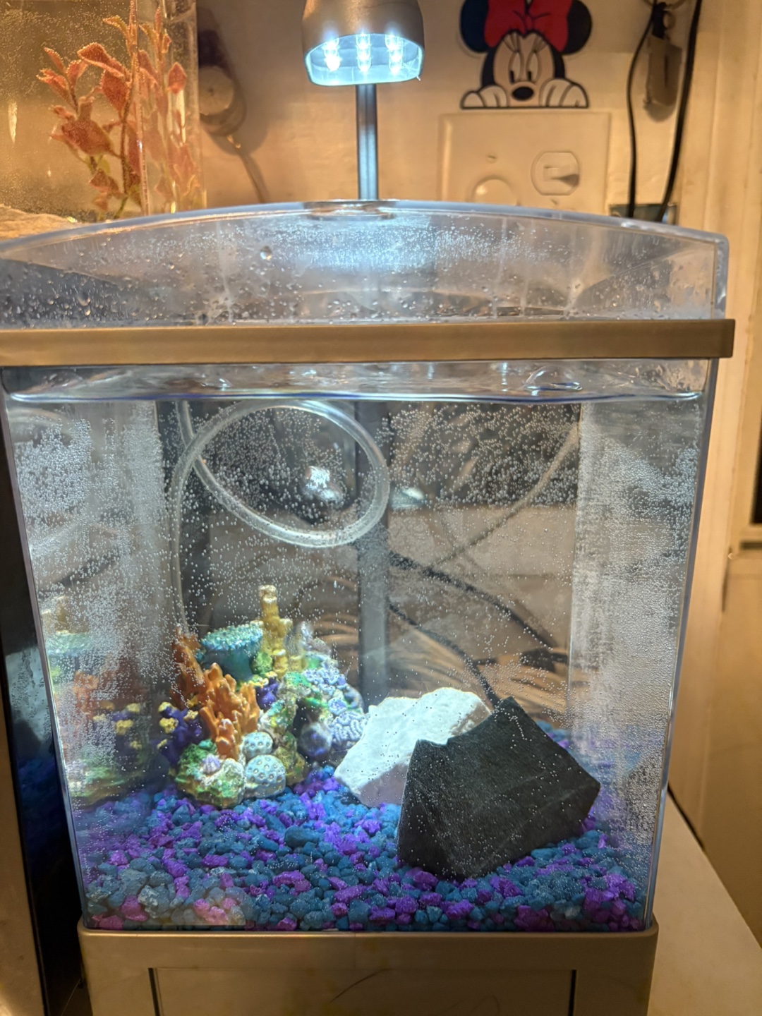 Small Aquarium Kit with LED Light