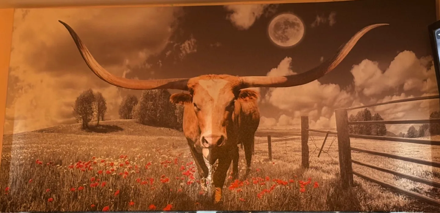 Longhorn Cattle Wall Art thumbnail