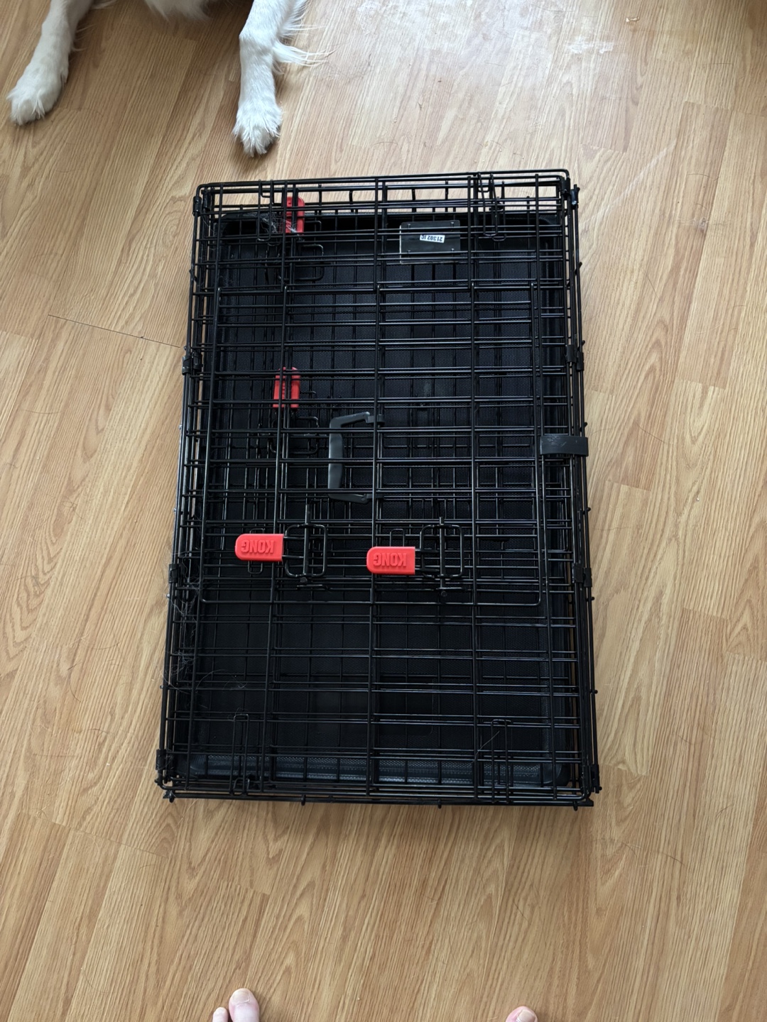 KONG Pet Carrier Crate - small - photo 3