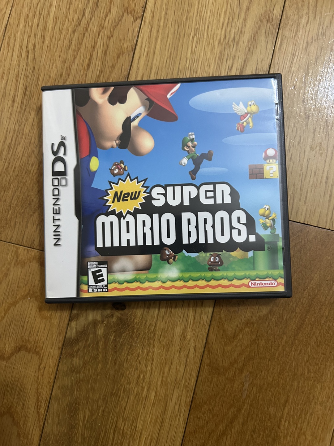 New Super Mario Bros (Nintendo DS)