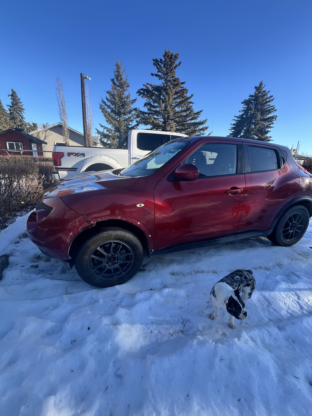 2012 Nissan Juke - Red - photo 5