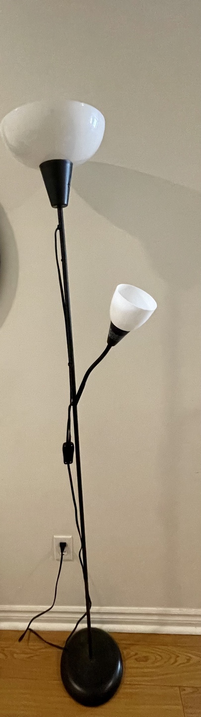 Double-Light Floor Lamp