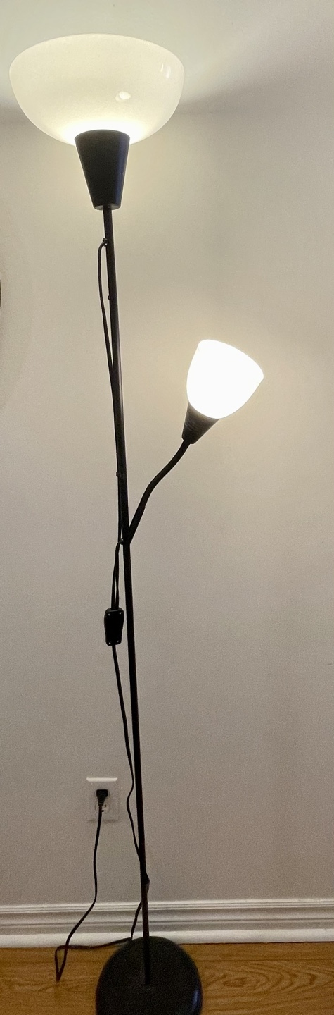 Double-Light Floor Lamp - photo 2