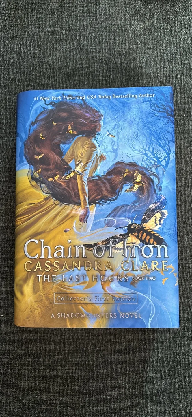 Chain of Gold & Chain of Iron Collector's First Edition image indicator(2)