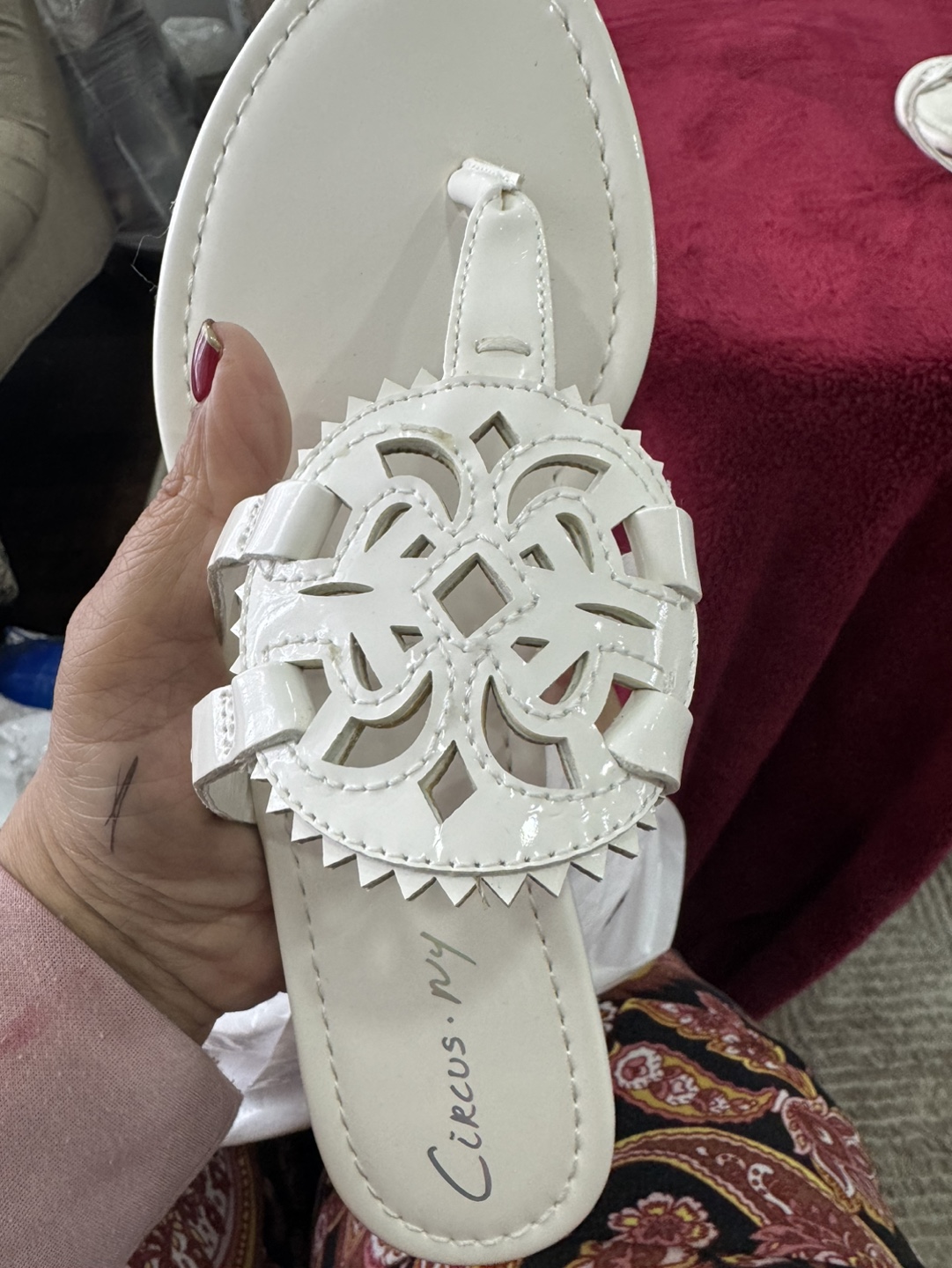 Circus by Sam Edelma