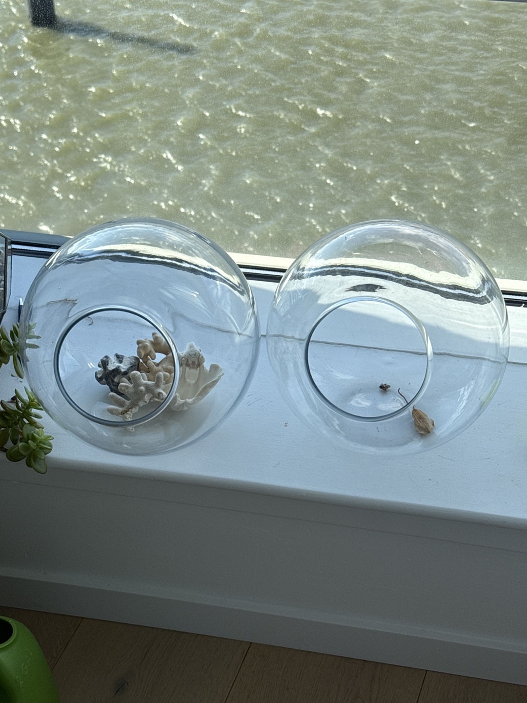 Pair of Clear Glass Cloches
