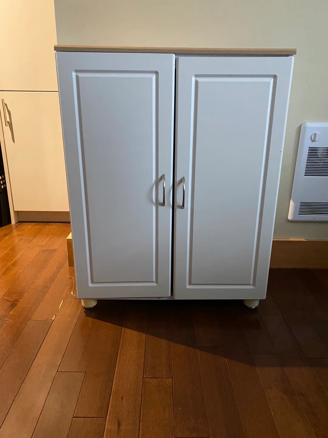 White Two-Door Cabinet with Shelf image indicator(4)