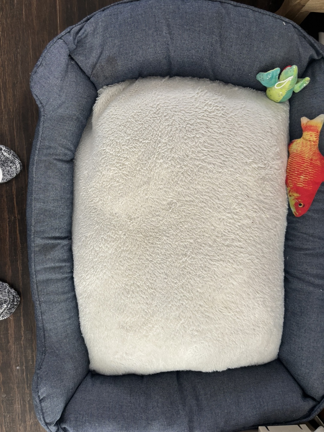 Large Pet Bed