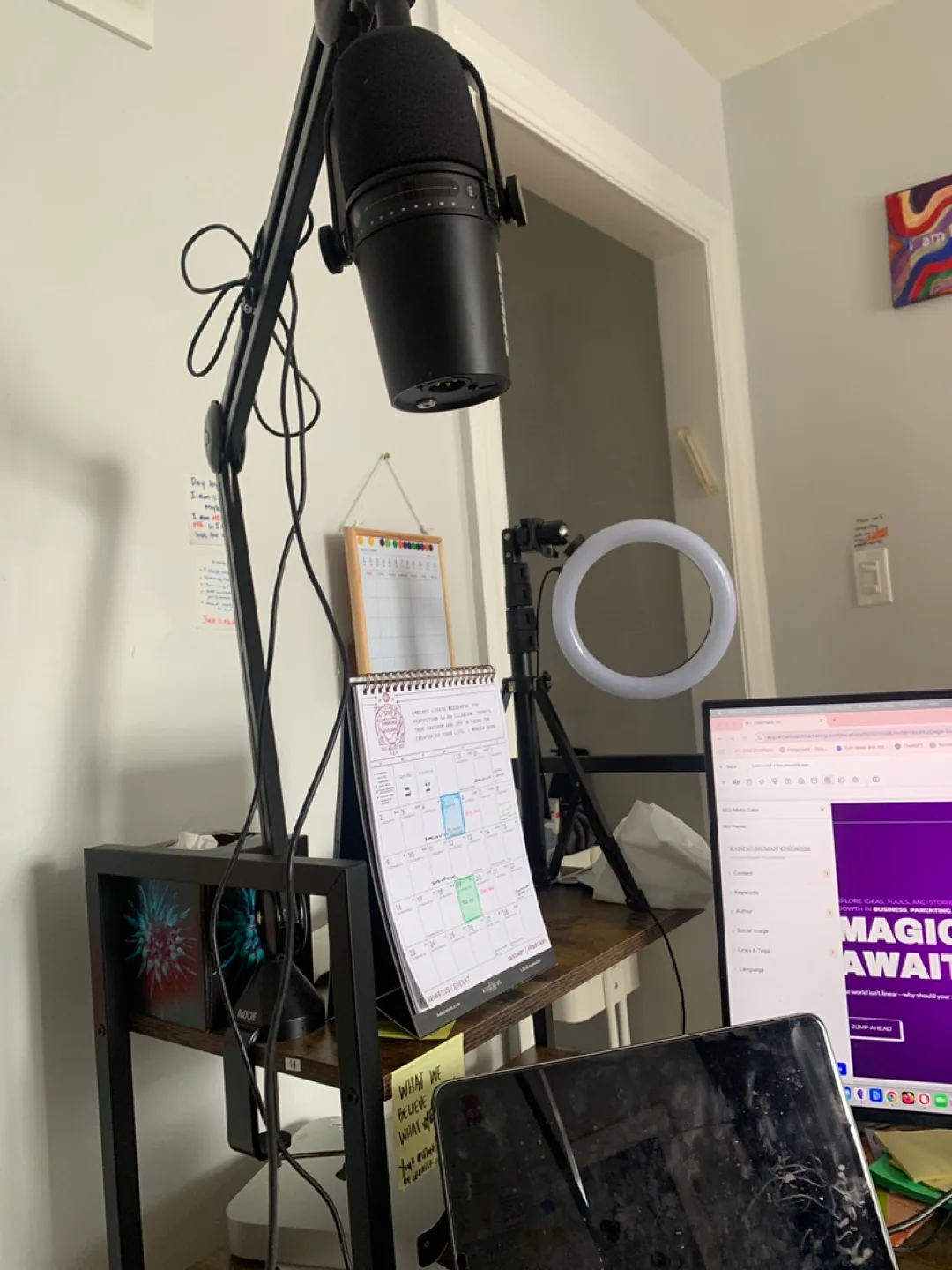 Shure MV7 image indicator(3)