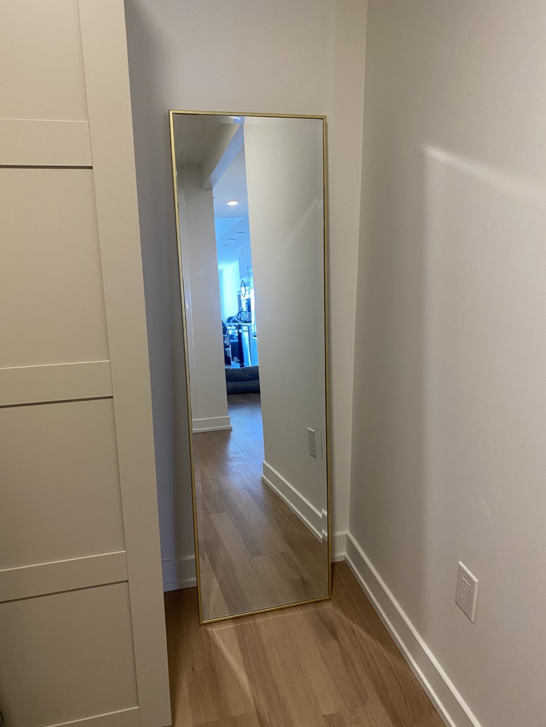 Full-Length Gold Frame Mirror