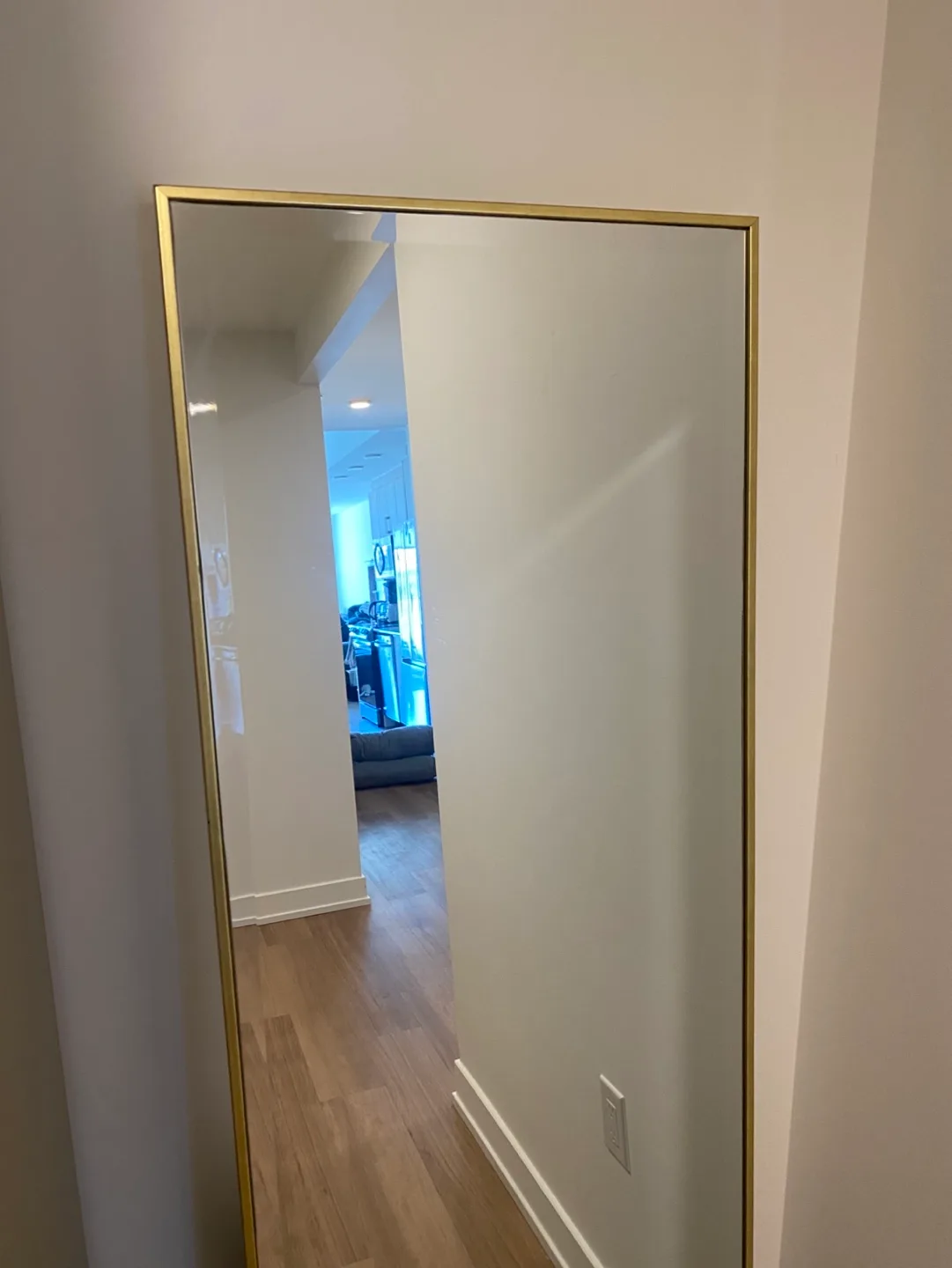 Full-Length Gold Frame Mirror image indicator(2)
