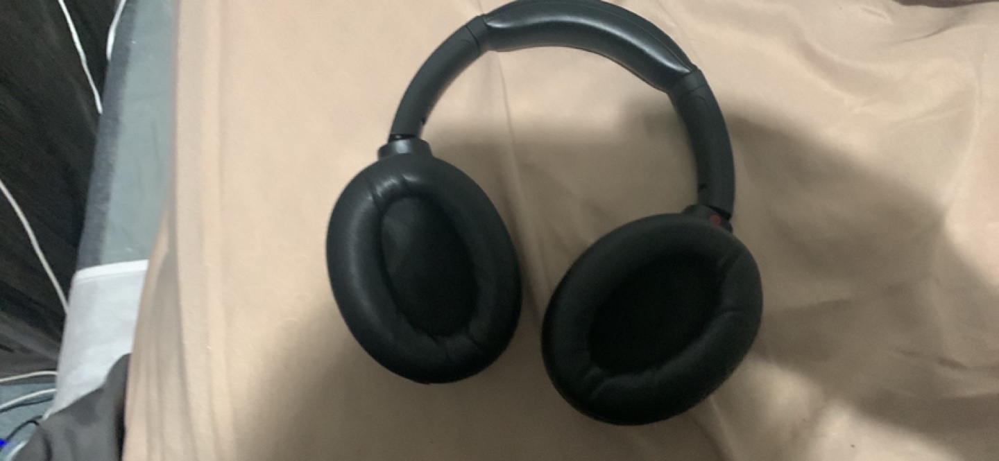 Sony WH-1000XM4 Wireless Noise-Cancelling Headphones with Case