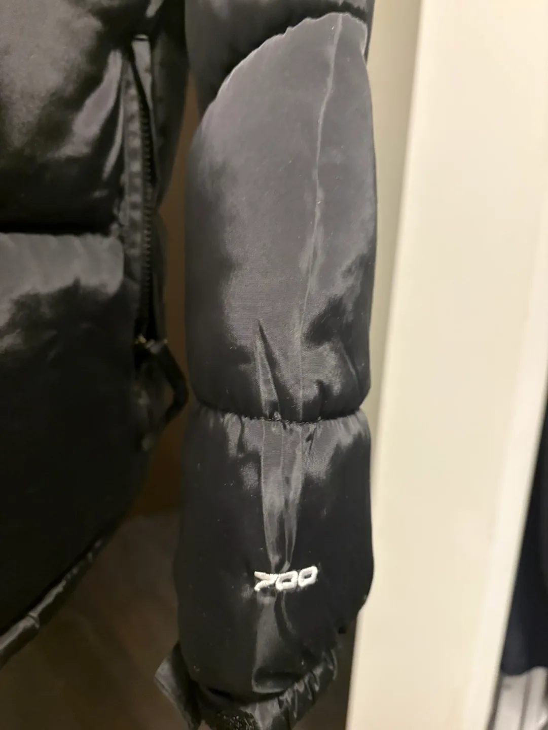 The North Face 700 MIRROR puffer jacket men size large image indicator(3)