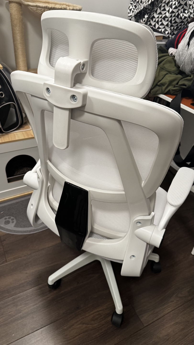 Ergonomic Mesh Office Chair - photo 4