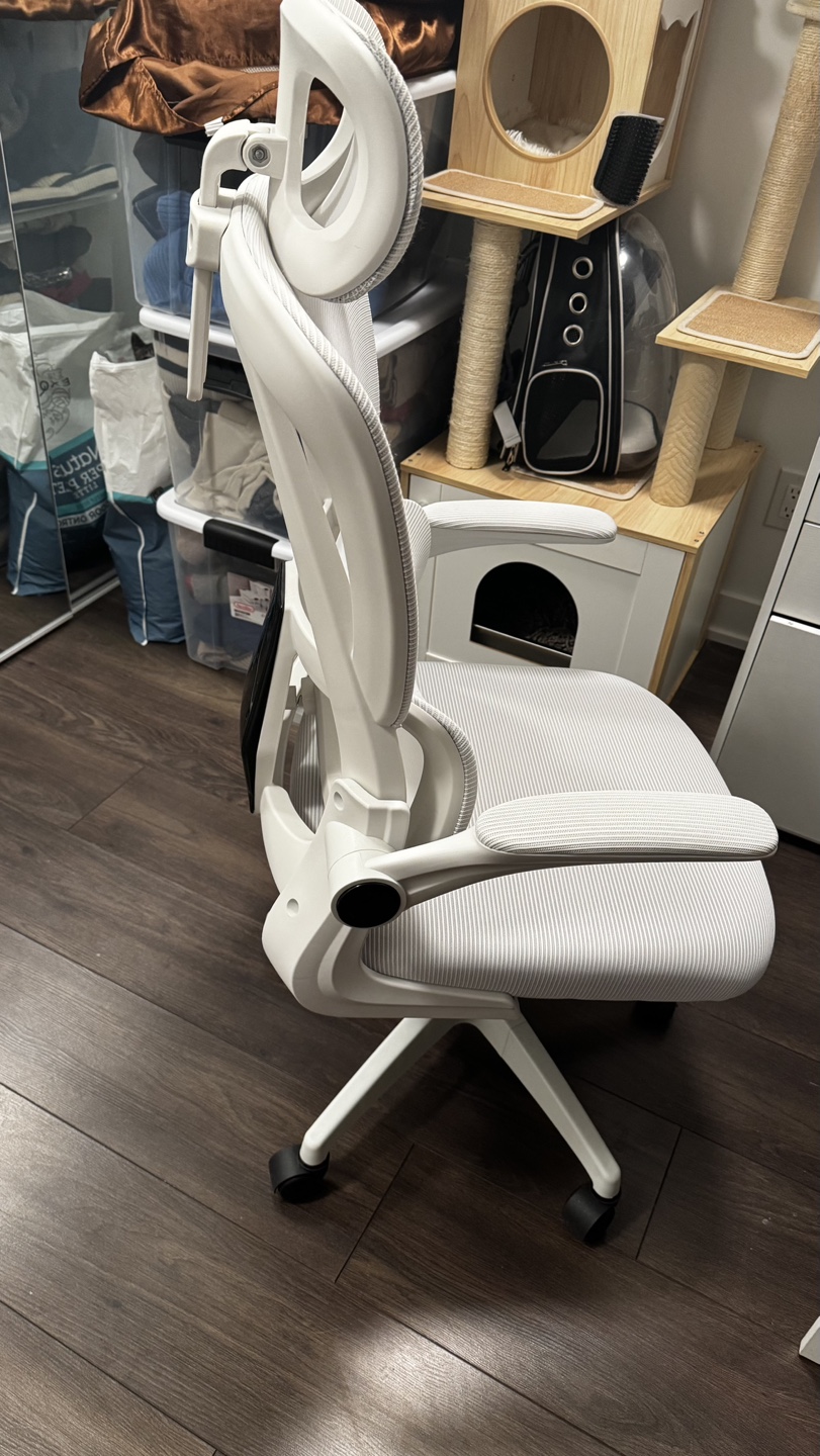 Ergonomic Mesh Office Chair - photo 5
