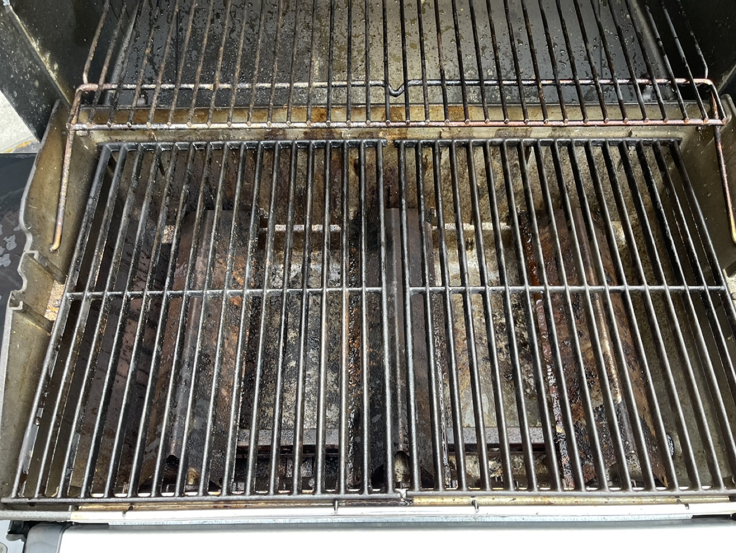 Natural Gas BBQ - photo 4