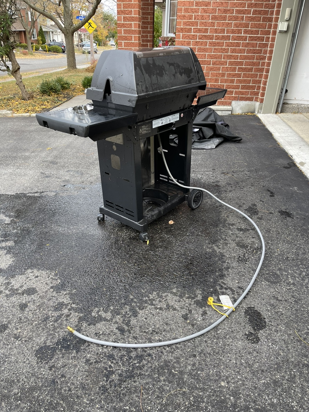 Natural Gas BBQ - photo 3