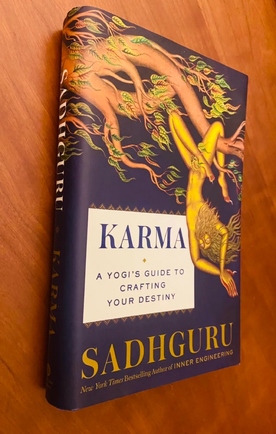 Karma: A Yogi's Guide to Crafting Your Destiny by Sadhguru image indicator(2)