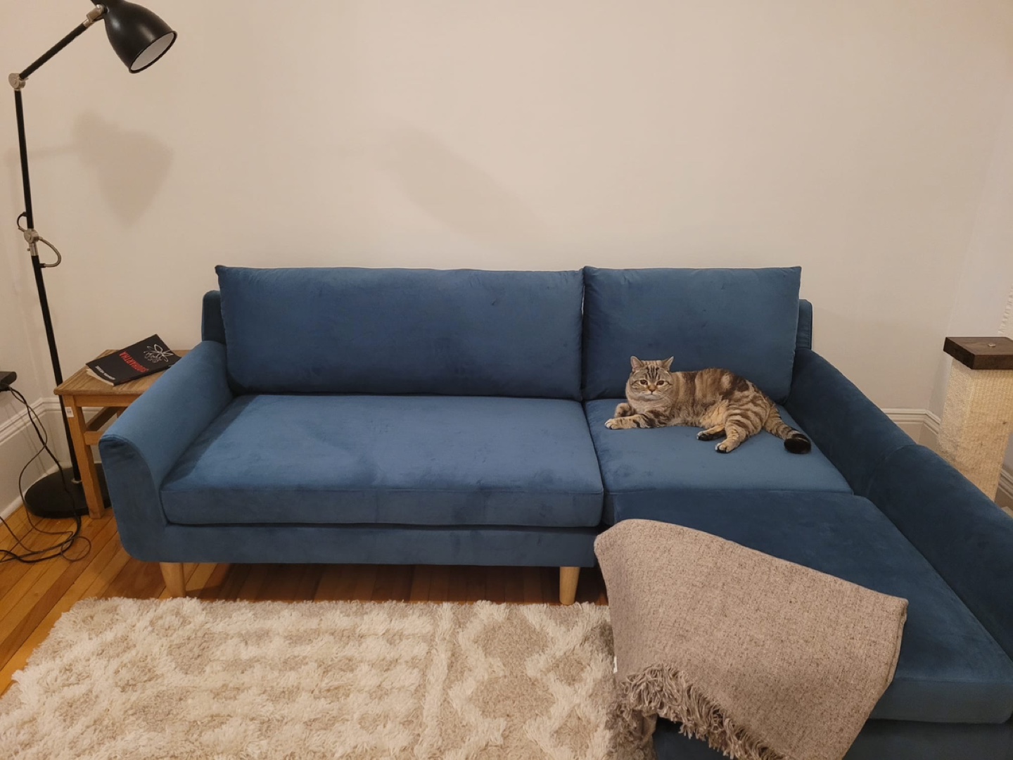 Blue Velvet Sectional Sofa with Ottoman