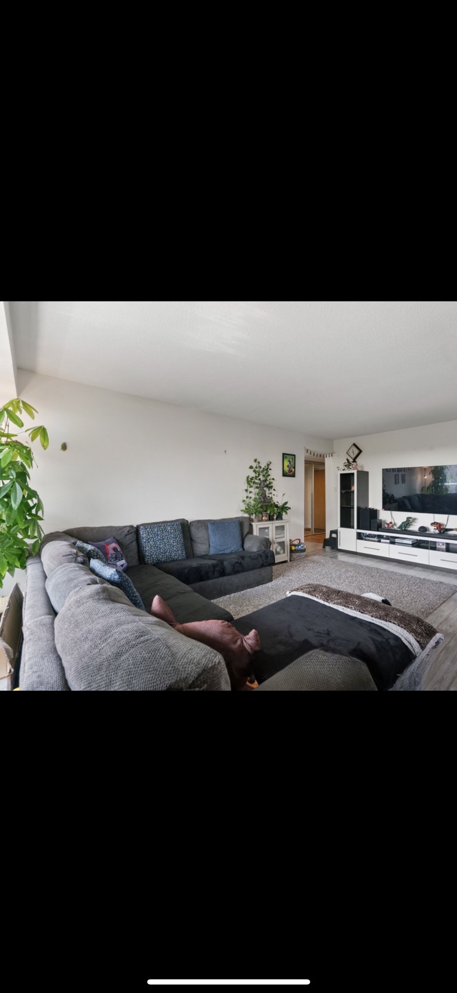U-Shaped Sectional Sofa - photo 2