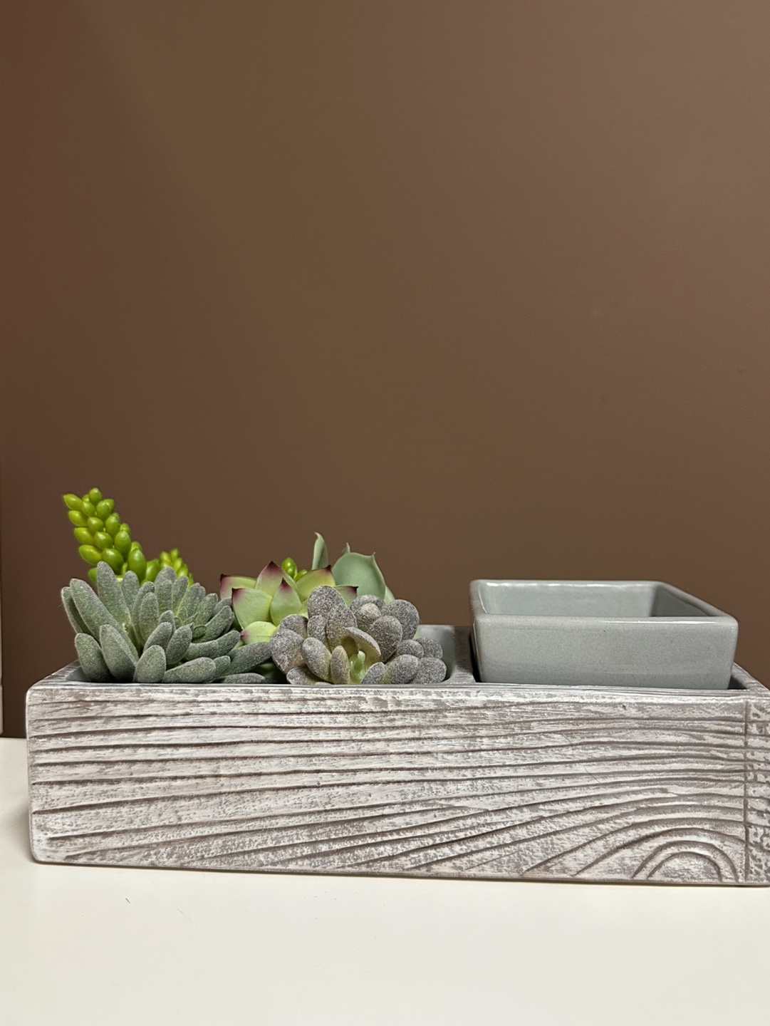 Scentsy Suc-Cute-Lent Warmer
