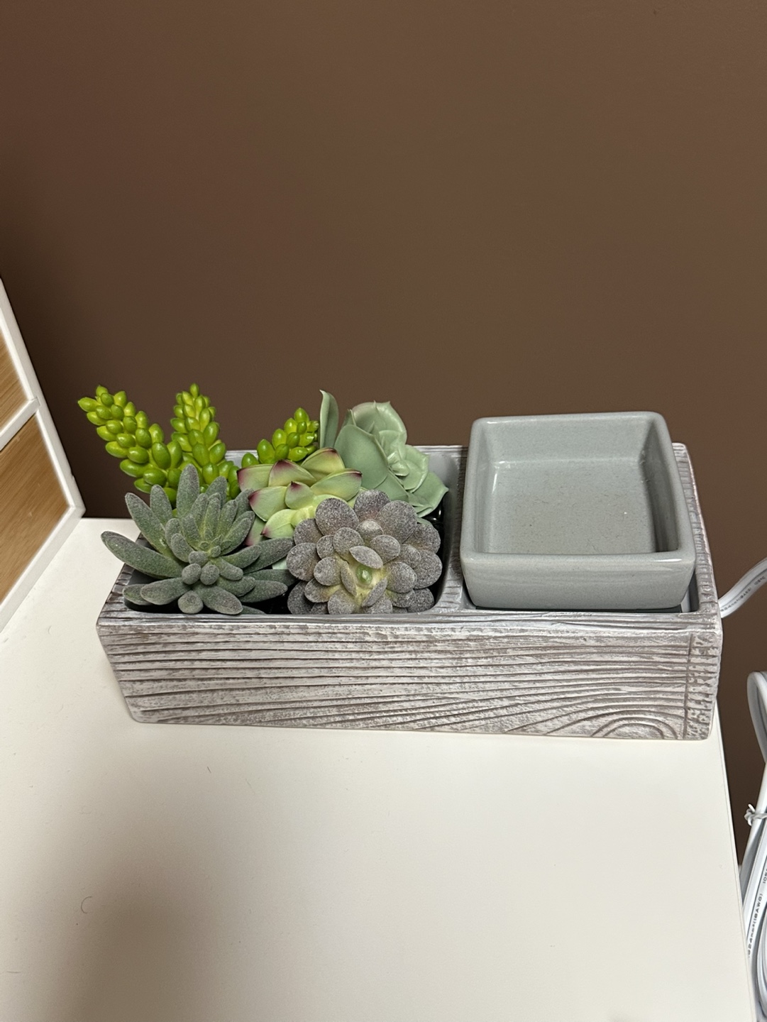 Scentsy Suc-Cute-Lent Warmer - photo 2