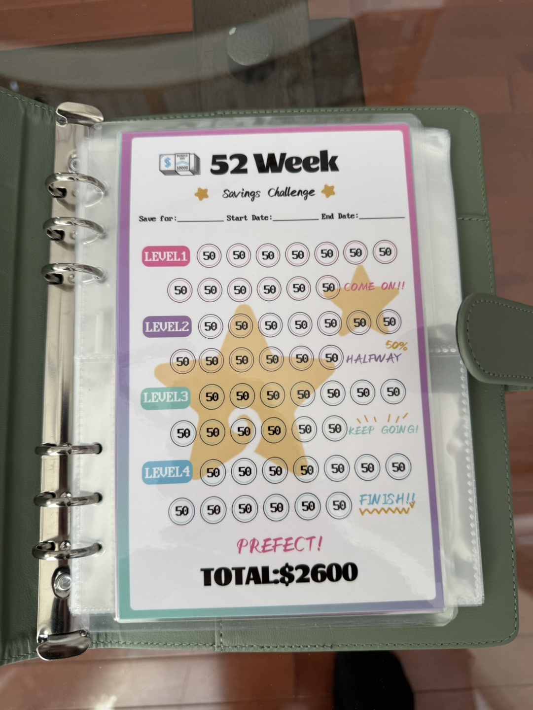 Sage Green 100 Envelope Savings Challenge Binder - photo 5