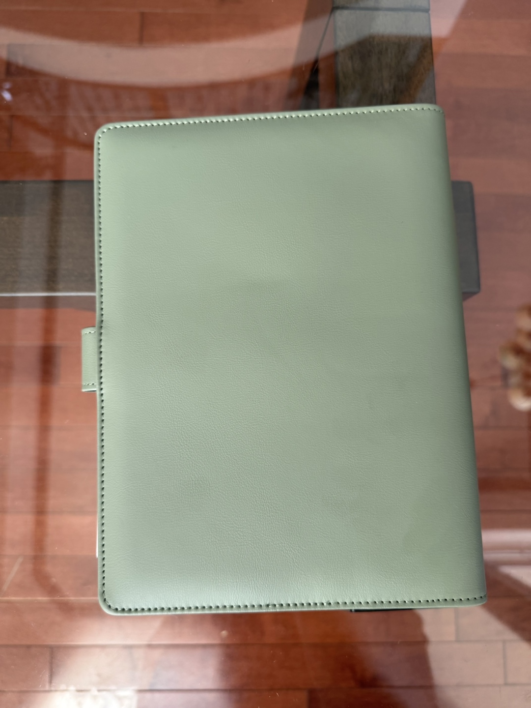 Sage Green 100 Envelope Savings Challenge Binder - photo 3