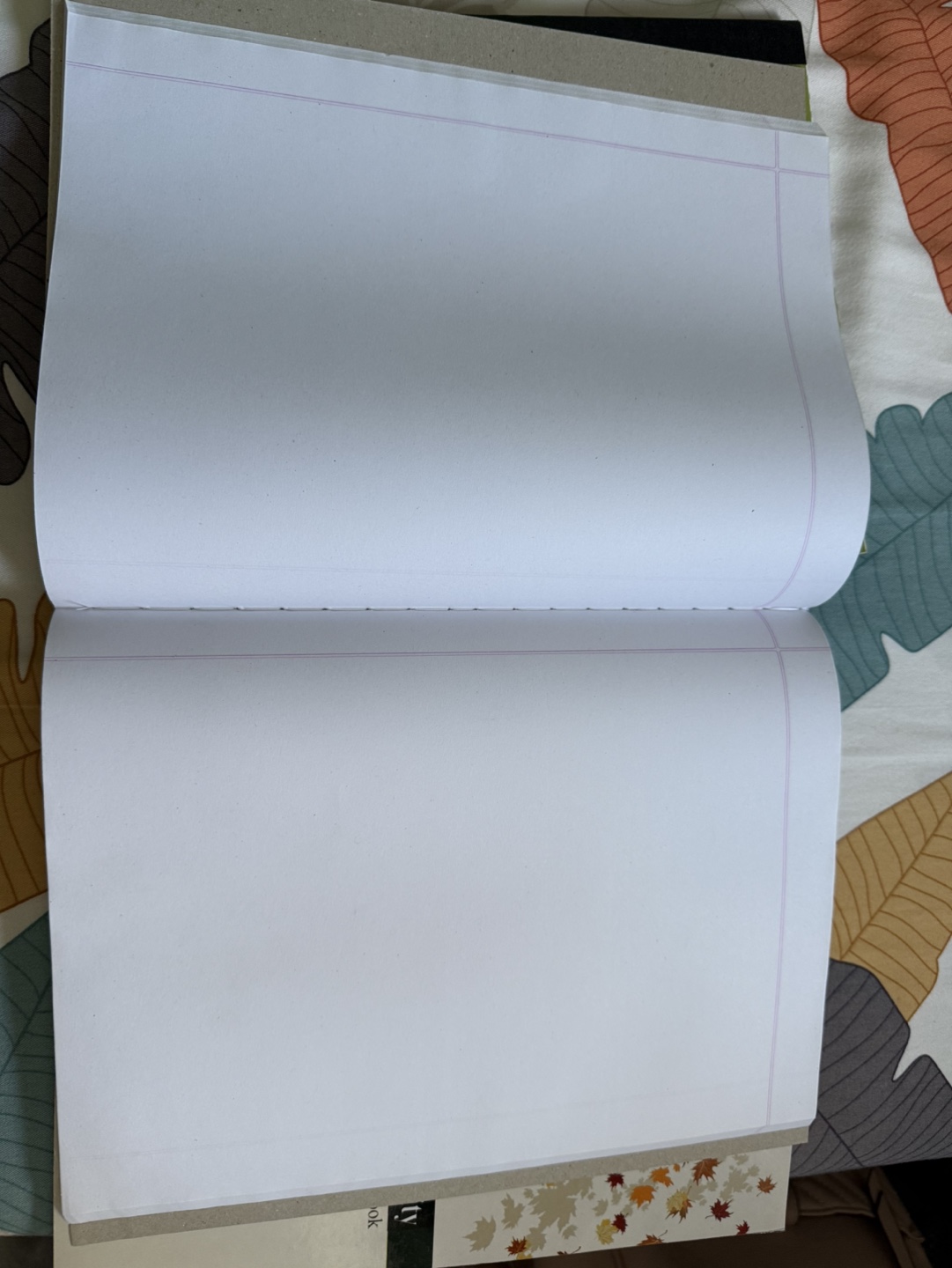 Three Unused Exercise Copy - photo 2