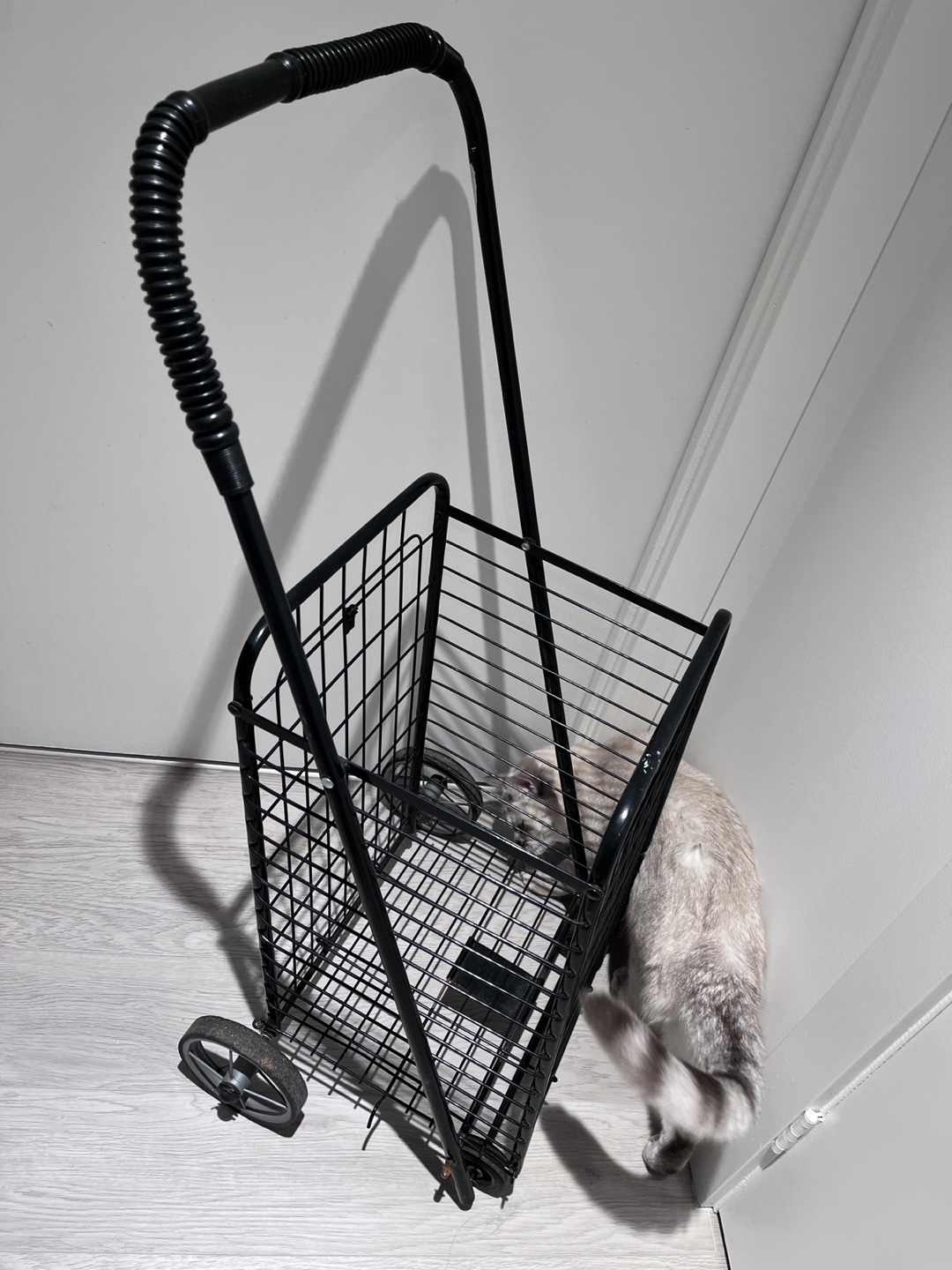 Foldable Shopping Cart - photo 3