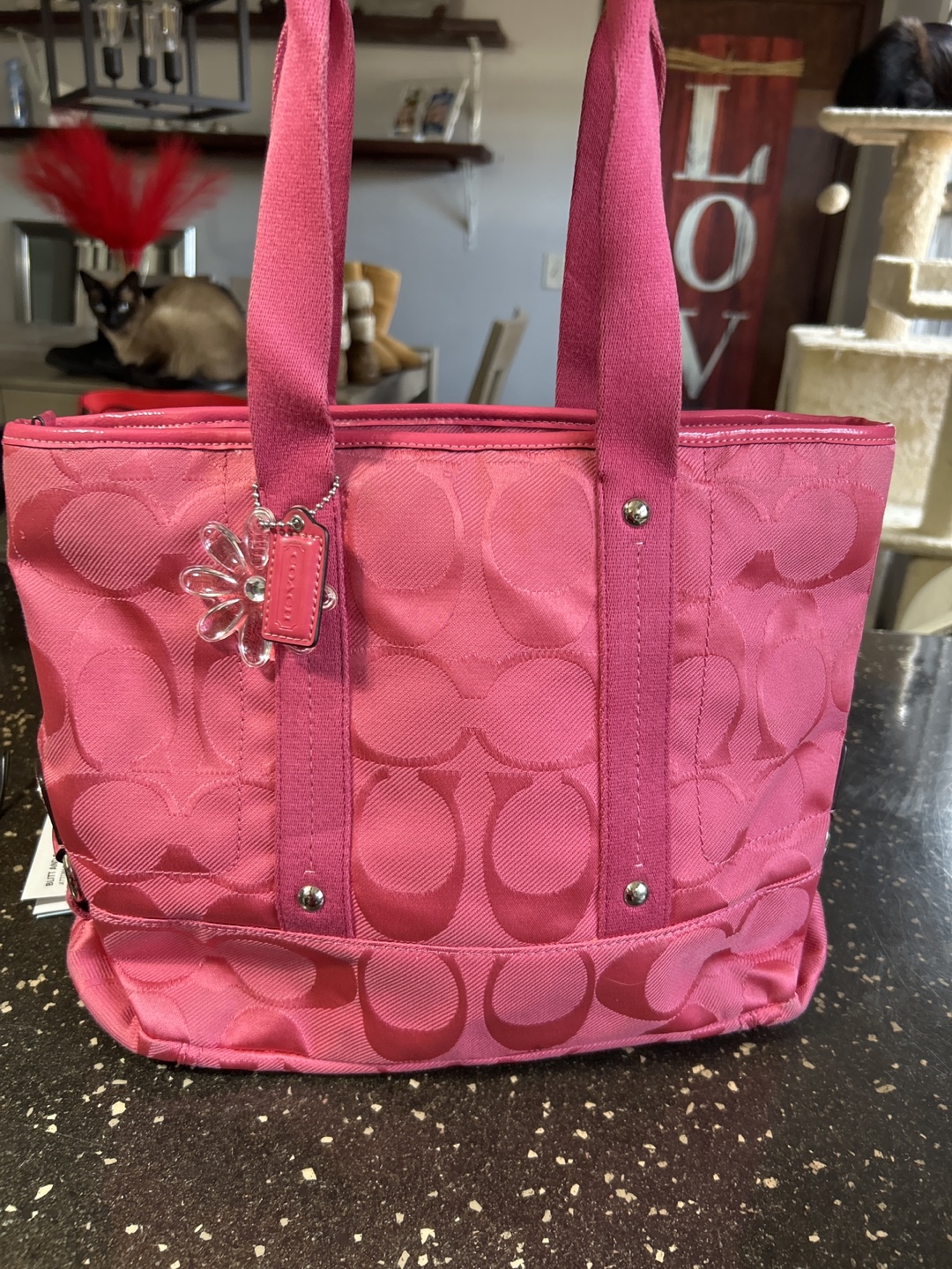 Pink Coach Tote Bag