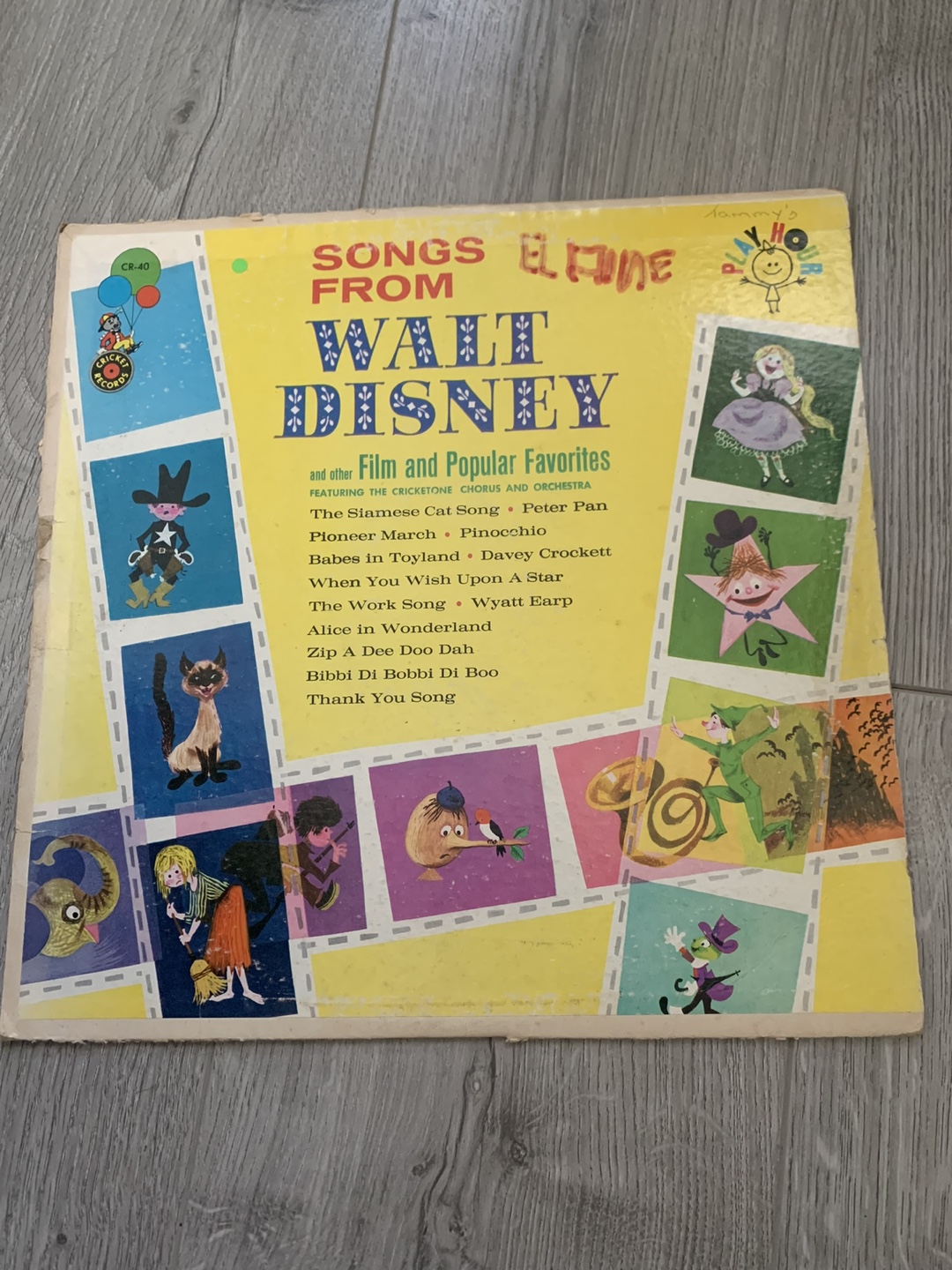 Vintage Vinyl Records - Disney, Broadway, and More