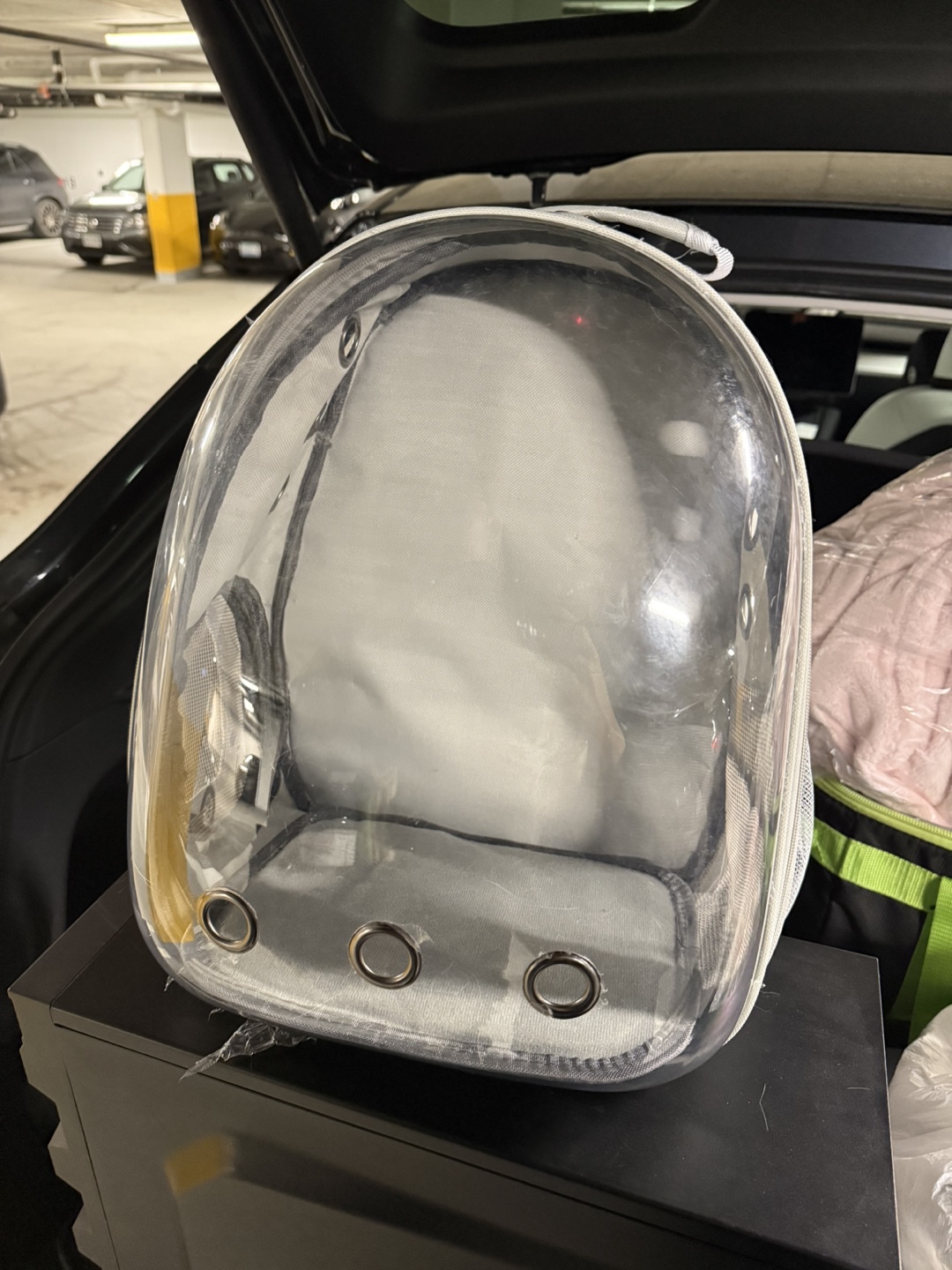 Pet Carrier Backpack - Clear Bubble Design
