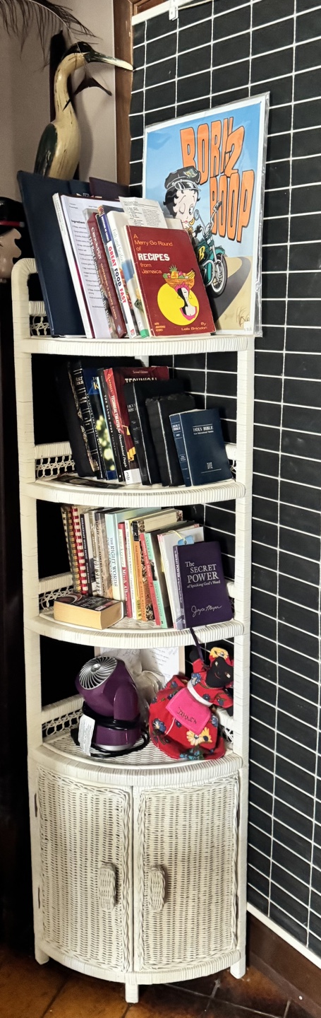 White Wicker Corner Shelf