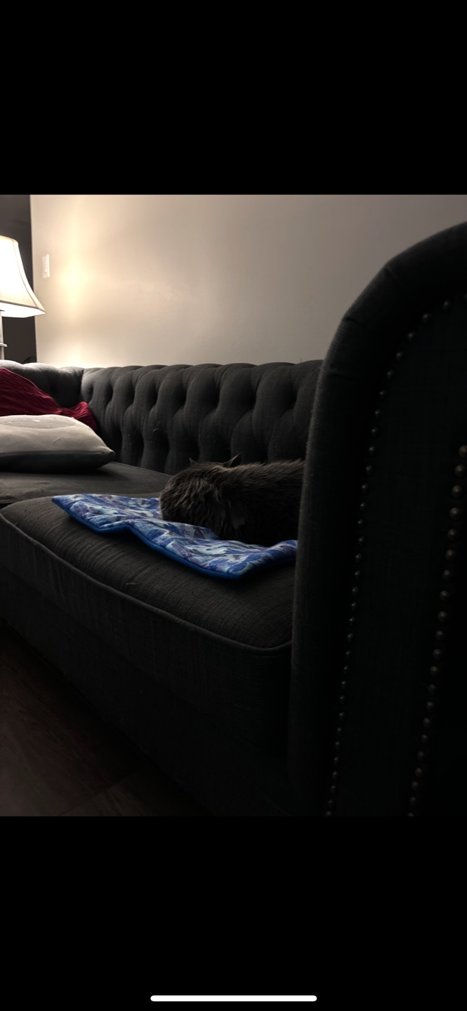 Dark Grey Tufted Sofa - photo 3