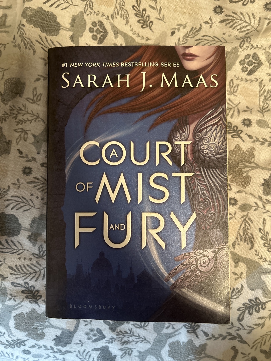 Sarah J. Maas A Court of Thorns and Roses Series Books 1-4 - photo 2