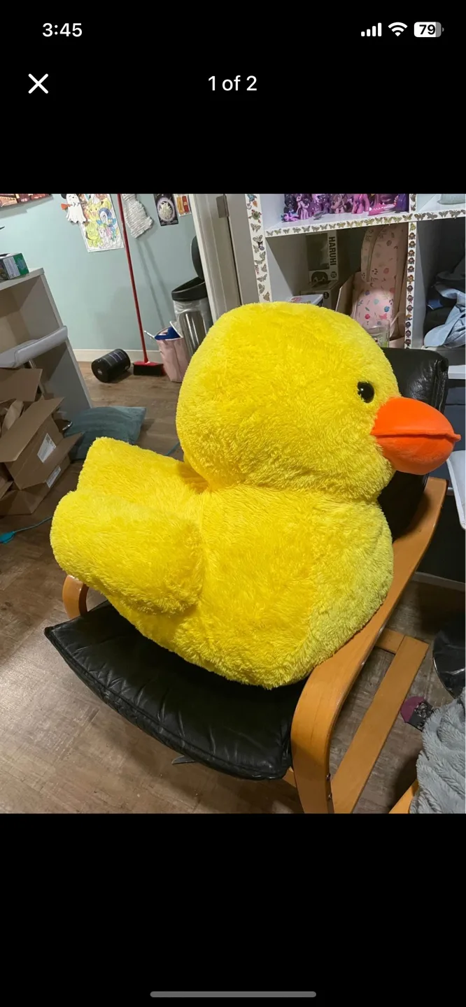 Huge Duck image indicator(2)