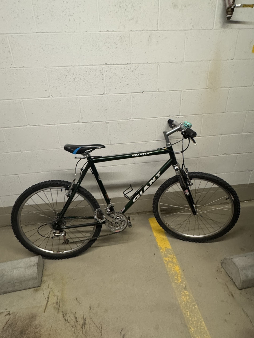 Vintage Giant Iguana Mountain Bike