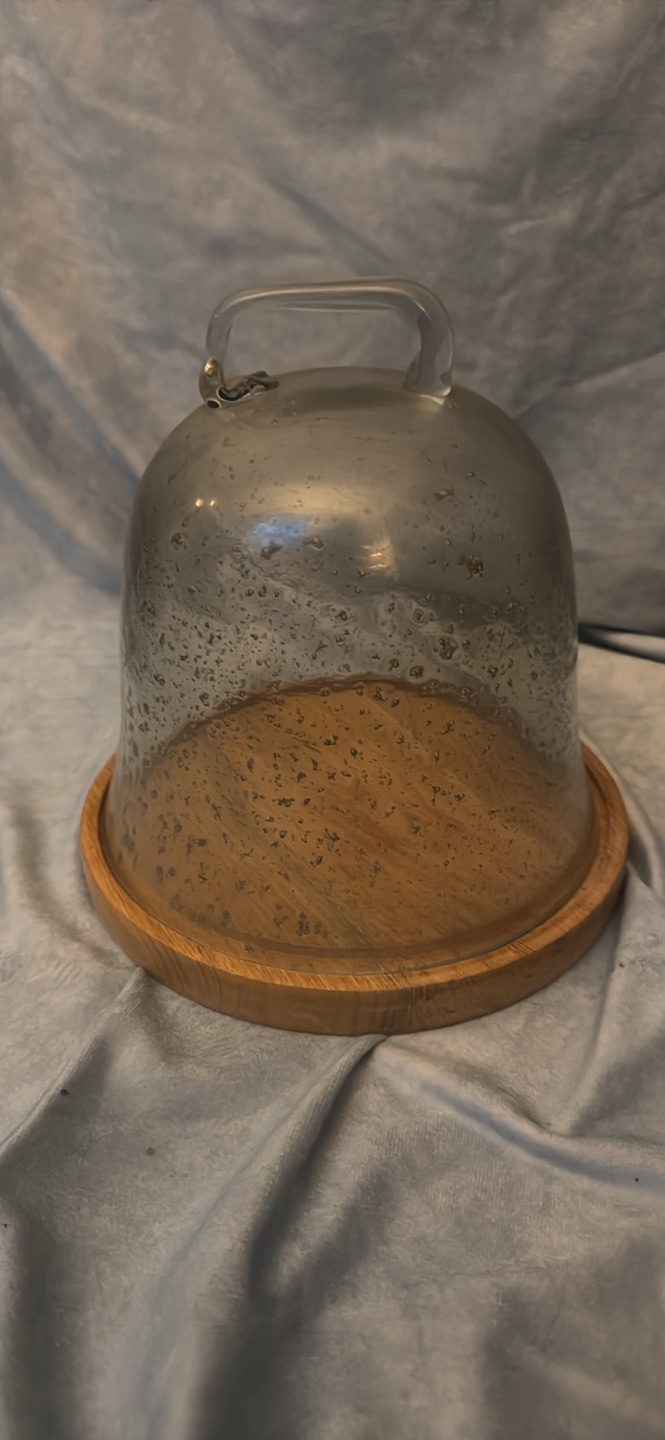 Glass cloche with wooden base