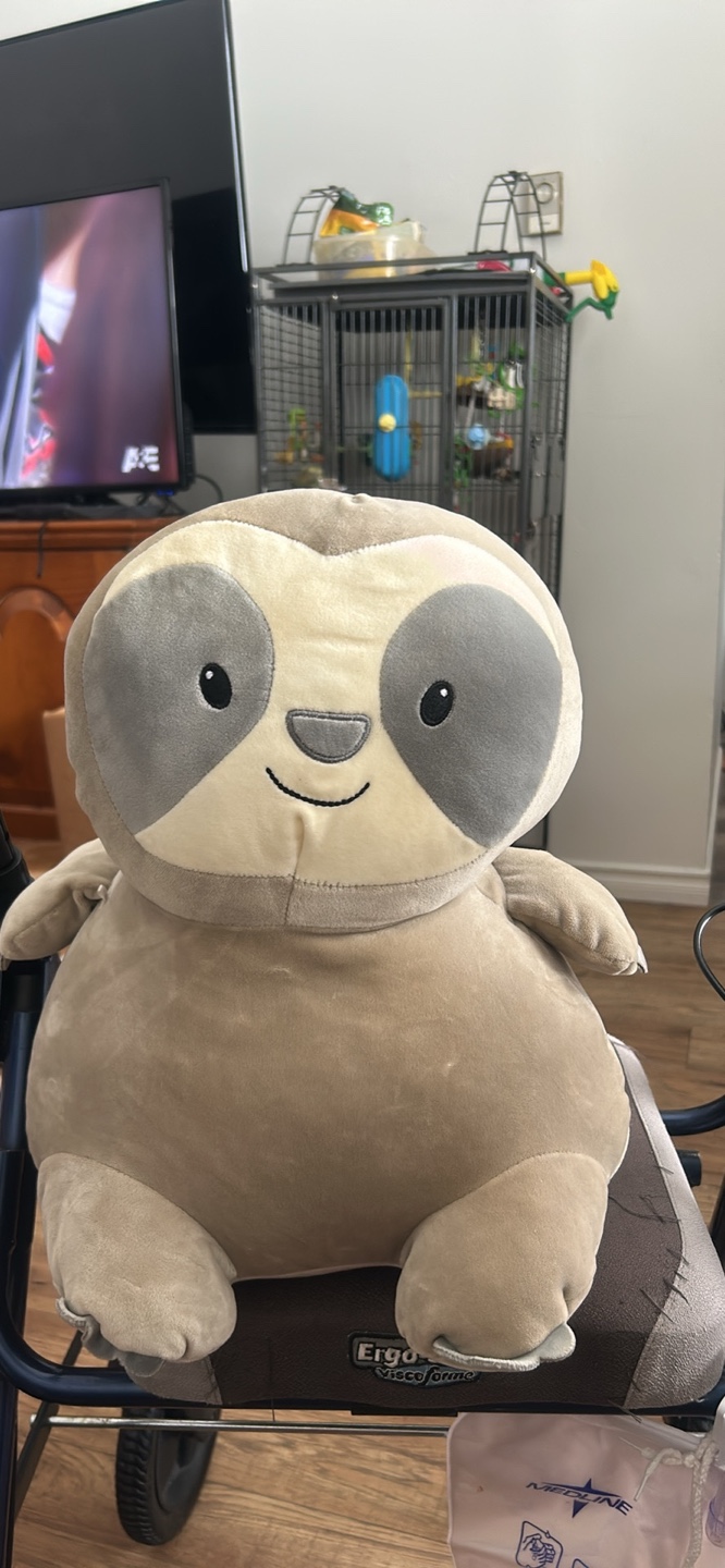 Adorable Sloth Plush Toy