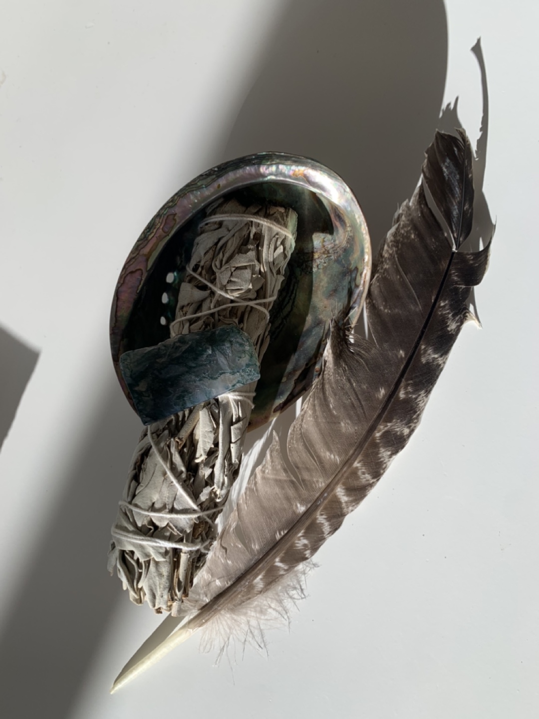 Smudging Kit: White Sage Bundle, Abolone Shell, and Feather