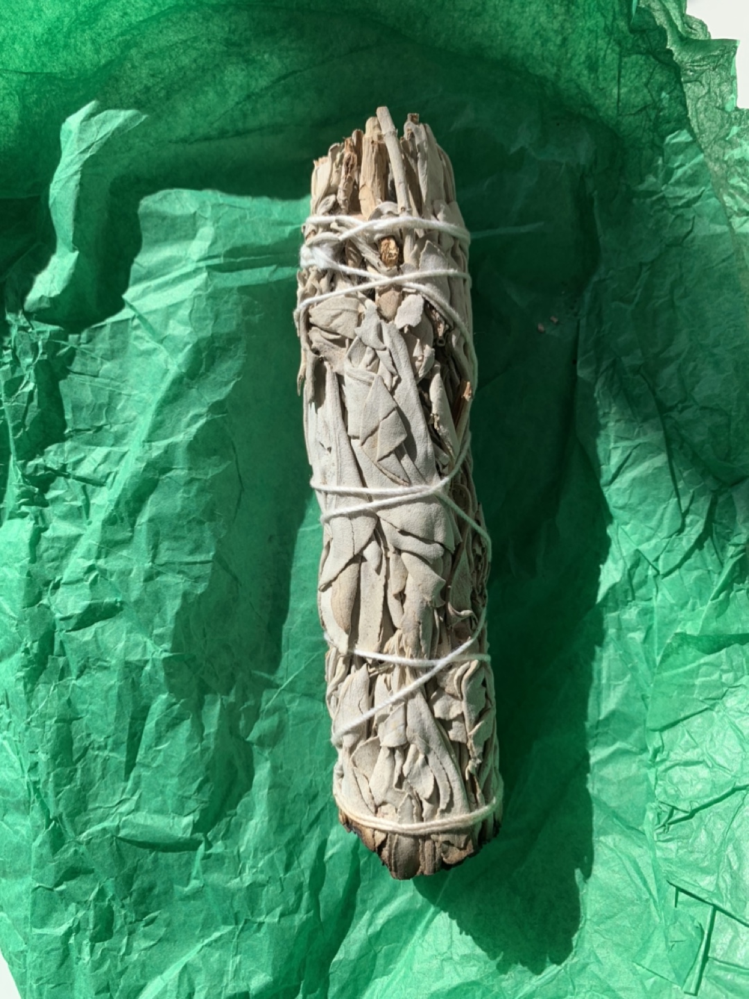 Smudging Kit: White Sage Bundle, Abolone Shell, and Feather - photo 3