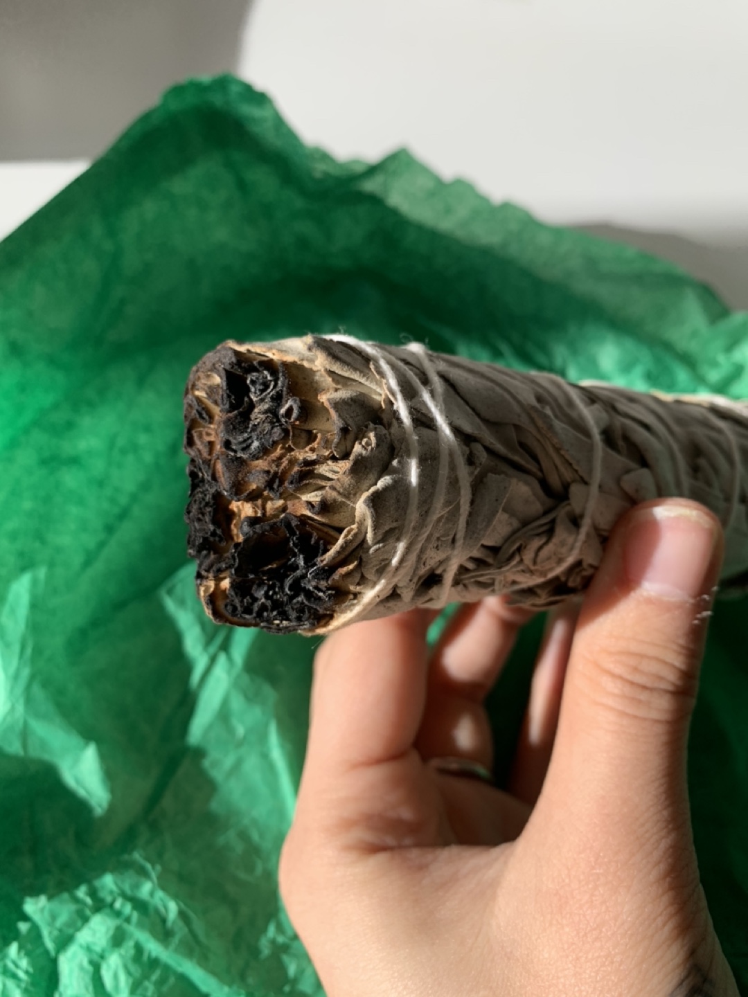 Smudging Kit: White Sage Bundle, Abolone Shell, and Feather - photo 4