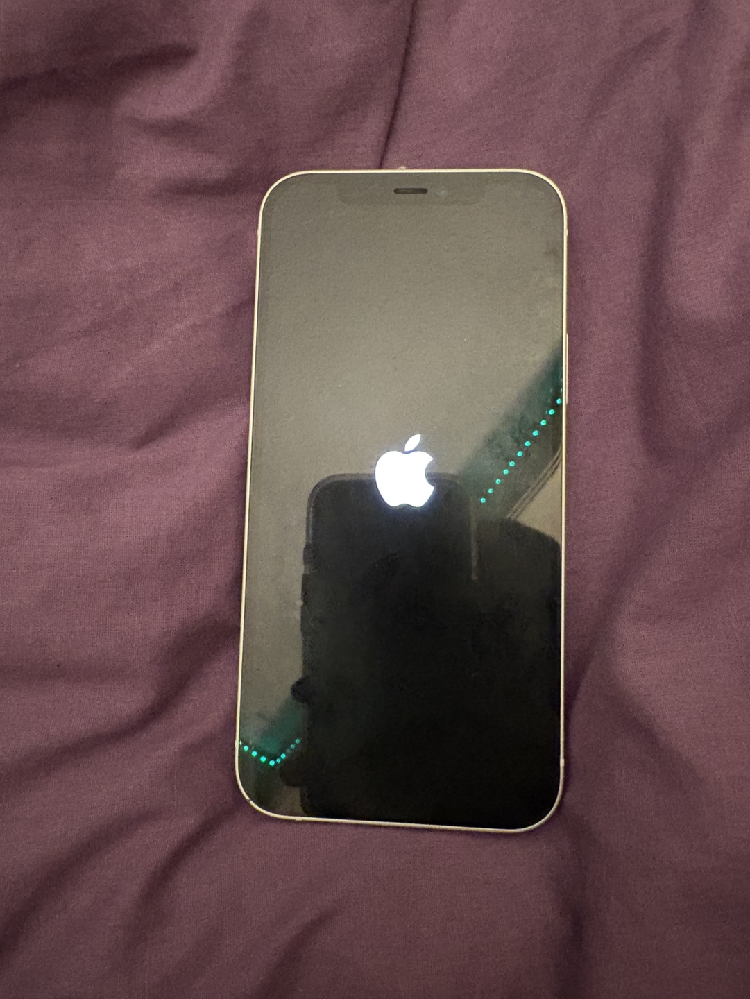 iPhone 12 -  Excellent Condition - photo 3